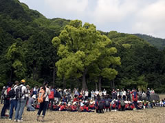 くじらといるか組はてっぺんまで登ります